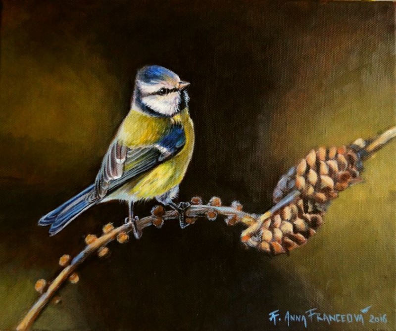 Blue Tit ll.